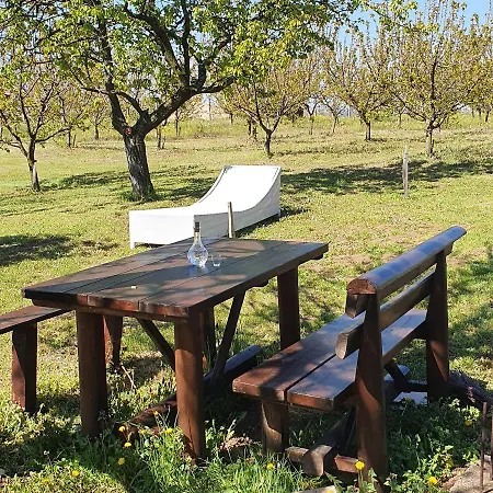 Vinogradski Belgrade, Sopot,kosmaj *