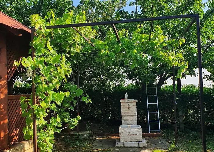 Vinogradski Belgrade, Sopot,kosmaj 別荘 *