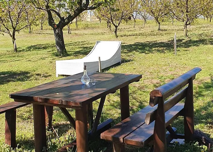 Vinogradski Belgrade, Sopot,kosmaj *